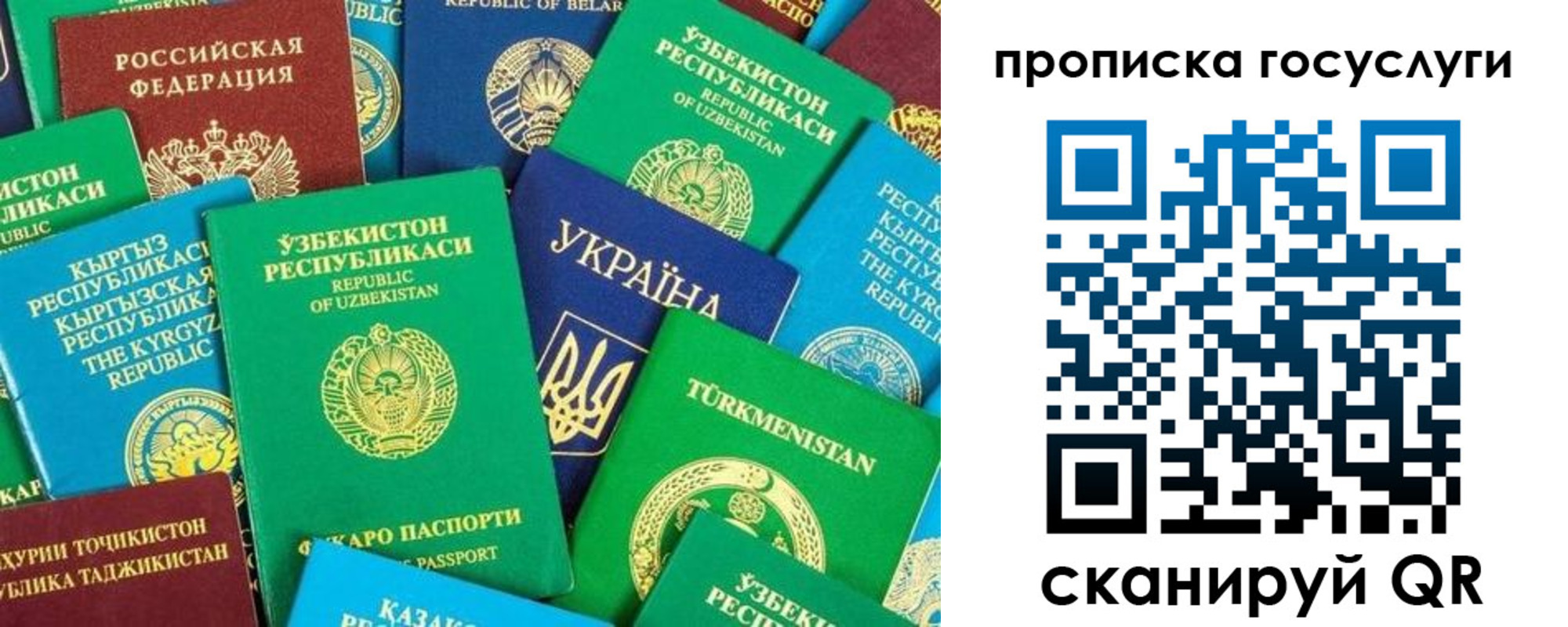 временная регистрация для всех в Полярном